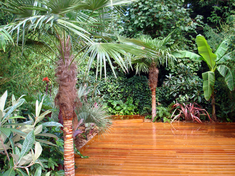 Exotic landscape planting | Urban Tropics