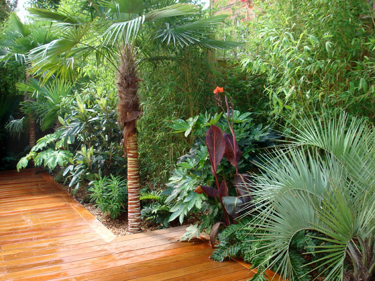 Tropical plants in a garden London