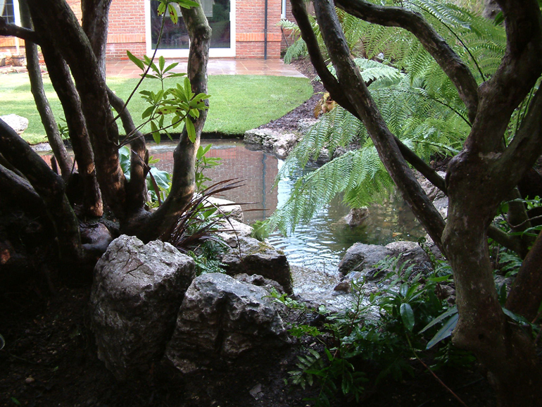 Tropical garden design | Urban Tropics