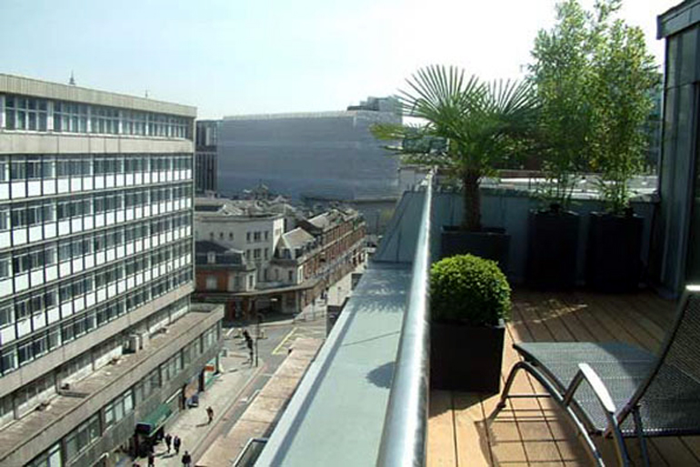 Contemporary terrace design London | Urban Tropics