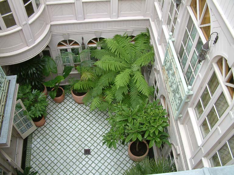 Exotic plants in Moroccan design atrium  | Urban Tropics exotic garden design London