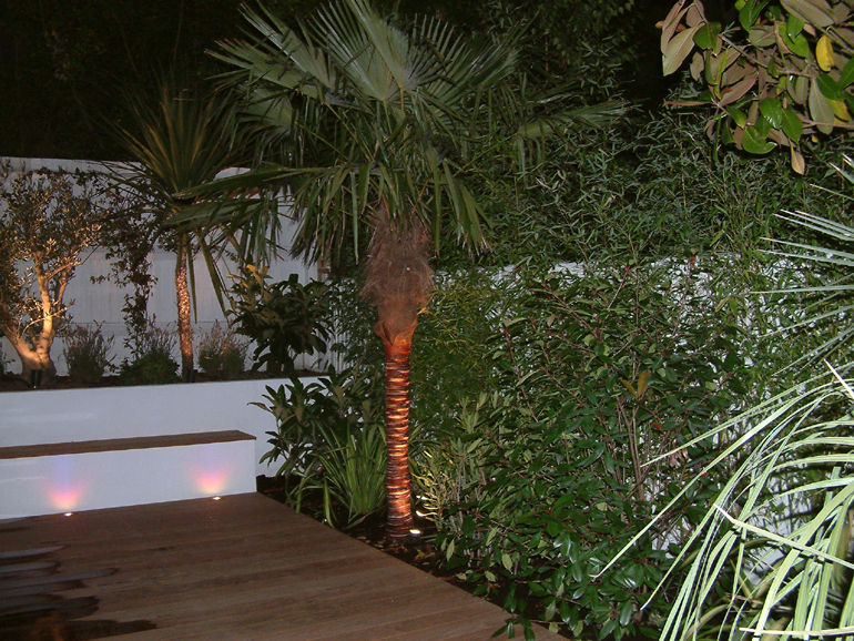 Mediterranean garden lighting London | Urban Tropics garden lighting design