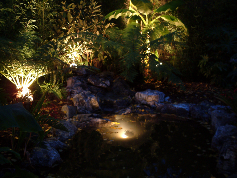 Pond lighting in a tropical garden London | Urban Tropics