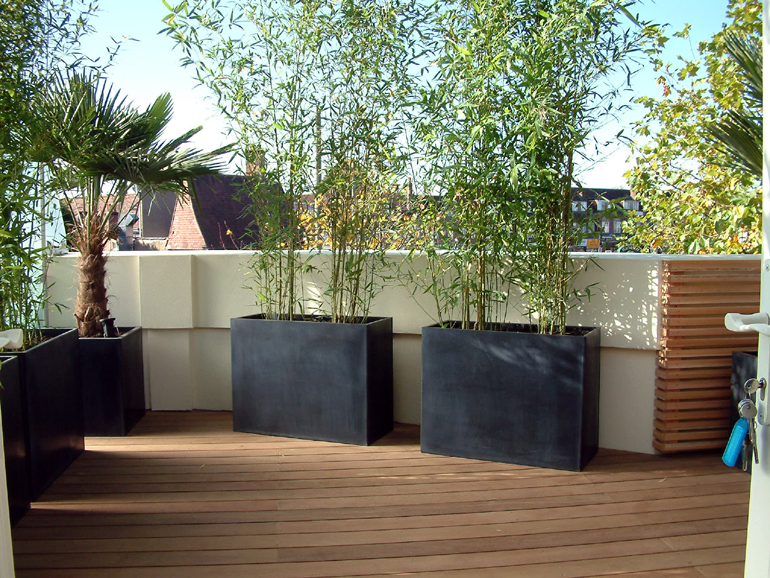 Contemporary planting of a London roof garden | Urban Tropics