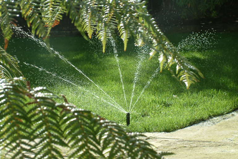 Lawn Irrigation London| Urban Tropics