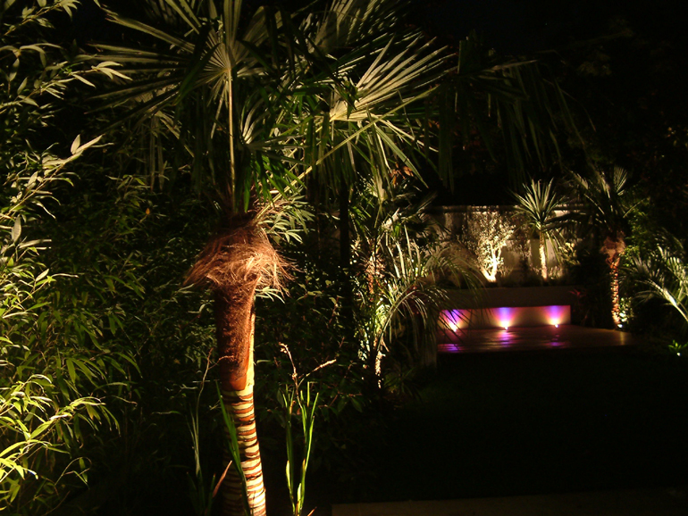 Palm Tree Lighting | Urban Tropics