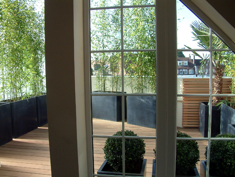 Contemporary roof garden design London viewed from living room | Urban Tropics