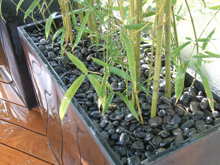 Contemporary planting of bamboo on a London roof garden