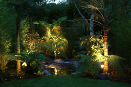 Lighting a tropical garden | London